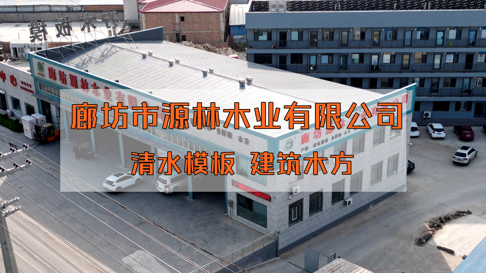 滄州_源林木業建筑模板鋪裝生產線實景